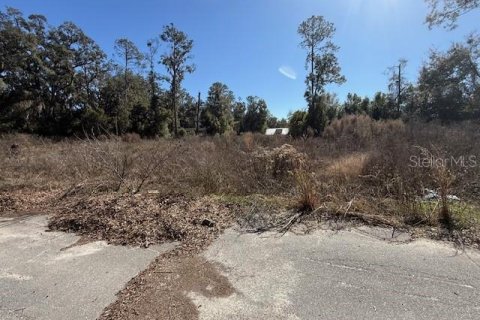 Terrain à Trenton, Floride № 2234986