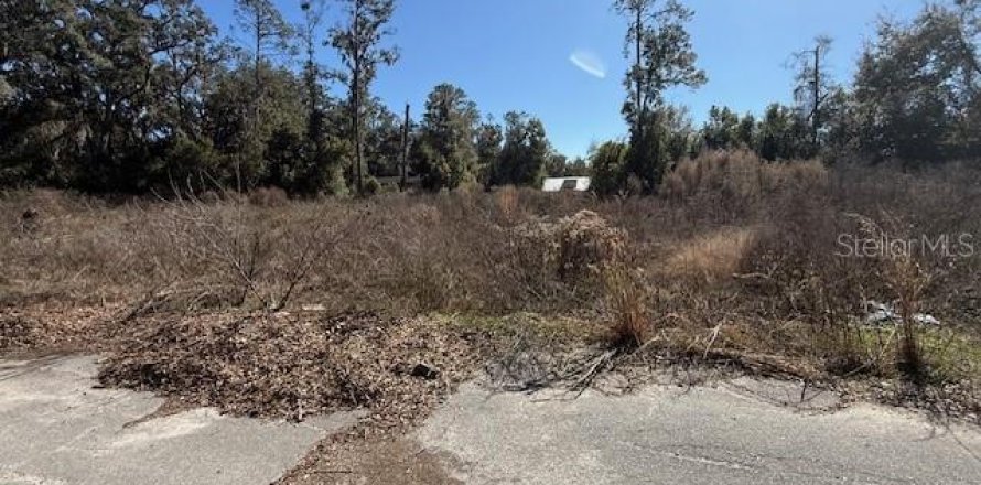 Land in Trenton, Florida № 2234986