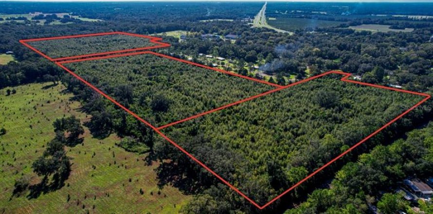 Land in Williston, Florida № 223651