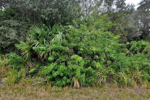 Land in North Port, Florida № 2160263