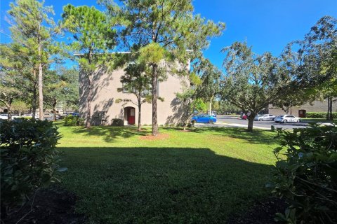 Touwnhouse à louer à Brandon, Floride: 3 chambres, 178.09 m2 № 2416932 - photo 11