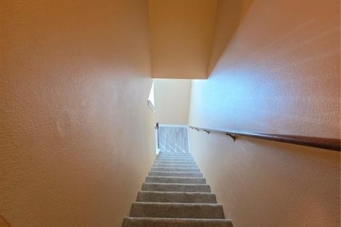 Touwnhouse à louer à Brandon, Floride: 3 chambres, 178.09 m2 № 2416932 - photo 26
