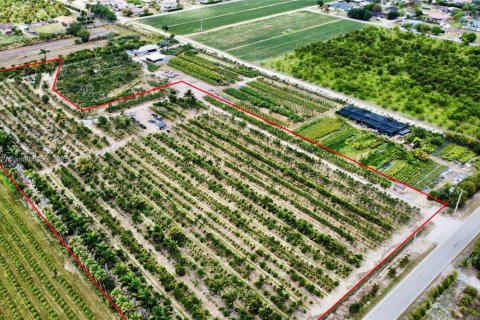 Land in Homestead, Florida № 1863163 - photo 5