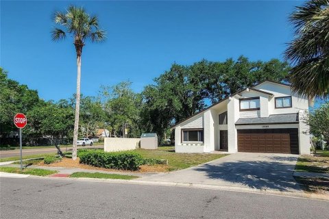 Casa en alquiler en Tampa, Florida, 4 dormitorios, 167.32 m2 № 2212913 - foto 3