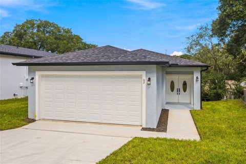 House in Eustis, Florida 3 bedrooms, 130.34 sq.m. № 2424071