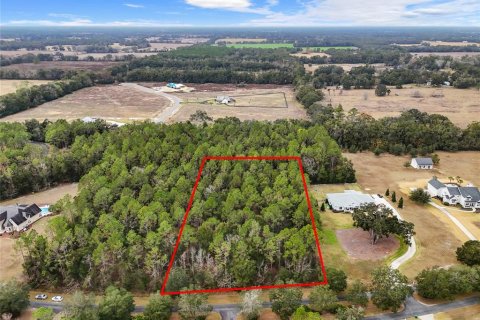 Land in Newberry, Florida № 1847838 - photo 5