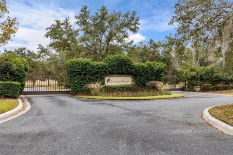 Land in Newberry, Florida № 1847838 - photo 2
