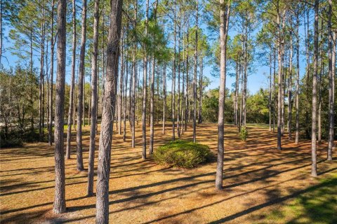 Land in Newberry, Florida № 1847838 - photo 4