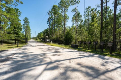House in New Smyrna Beach, Florida 4 bedrooms, 187.38 sq.m. № 2166812 - photo 2