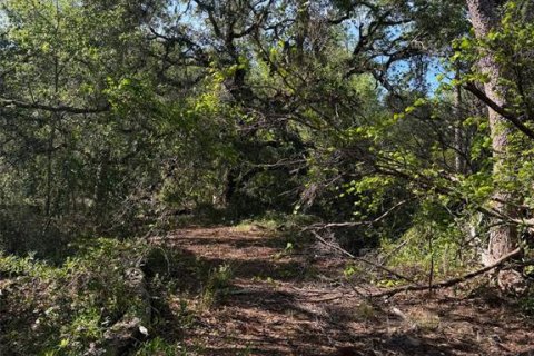 Land in Fort MC Coy, Florida № 2159636 - photo 4