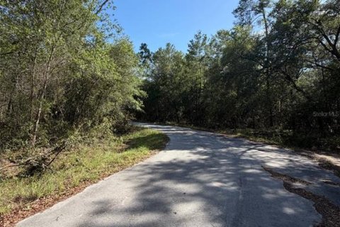 Land in Fort MC Coy, Florida № 2159636 - photo 3