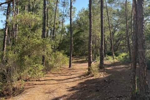 Land in Fort MC Coy, Florida № 2159636 - photo 2