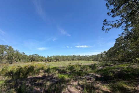 Land in Fort MC Coy, Florida № 2159636