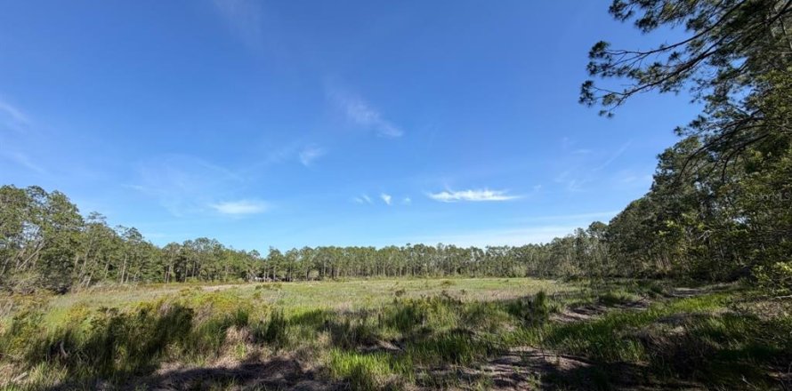 Land in Fort MC Coy, Florida № 2159636