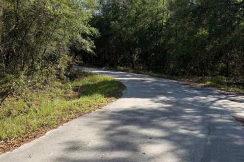 Land in Fort MC Coy, Florida № 2159636 - photo 7
