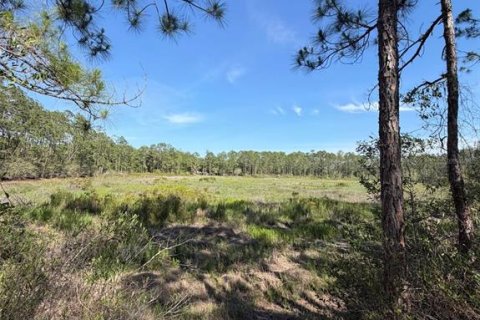 Land in Fort MC Coy, Florida № 2159636 - photo 5