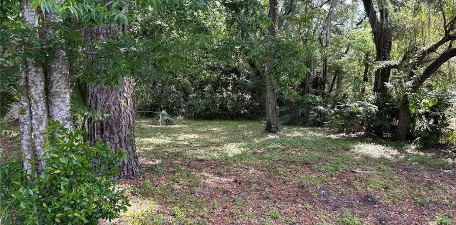 Land in Gainesville, Florida № 2222564