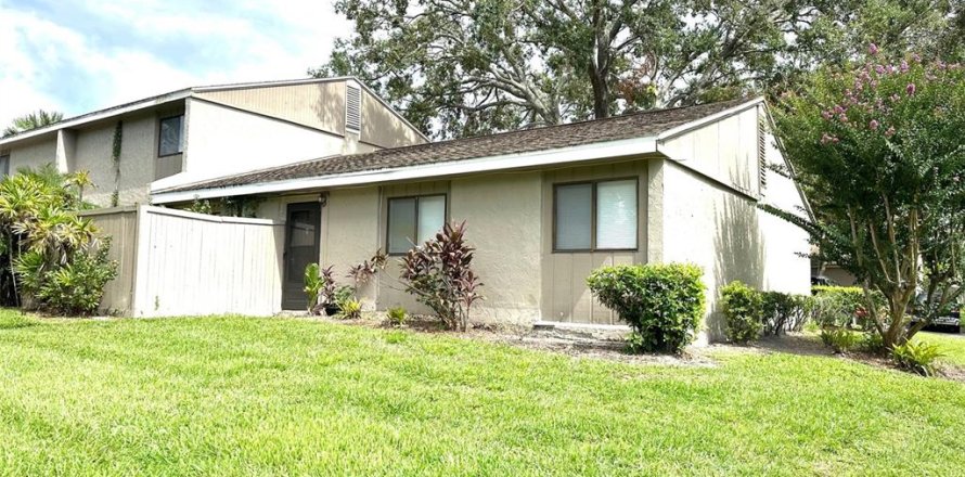 Condo à Temple Terrace, Floride, 3 chambres  № 1849649