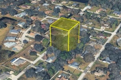 Land in Zephyrhills, Florida № 2100998 - photo 3