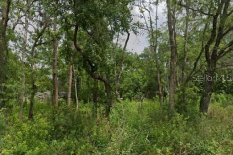 Land in Zephyrhills, Florida № 2100998 - photo 2