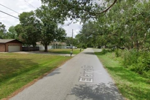 Land in Zephyrhills, Florida № 2100998 - photo 4