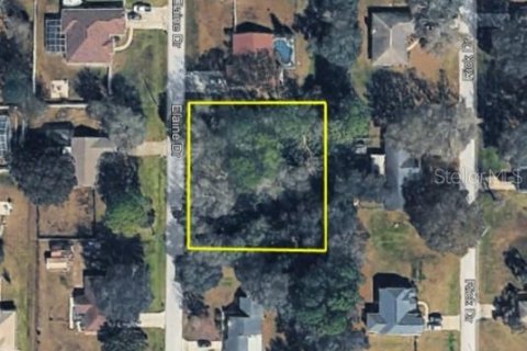 Land in Zephyrhills, Florida № 2100998