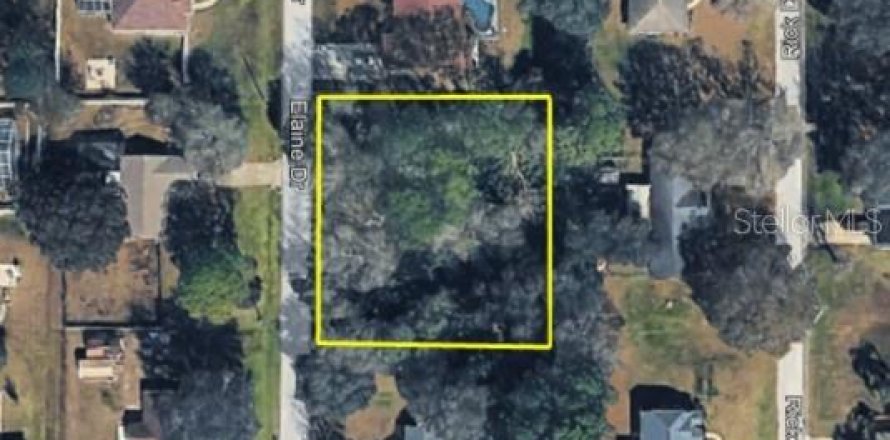Land in Zephyrhills, Florida № 2100998