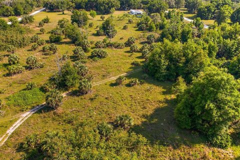 Land in Crystal River, Florida № 1056421 - photo 11