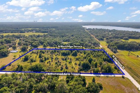 Land in Crystal River, Florida № 1056421 - photo 6
