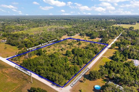 Land in Crystal River, Florida № 1056421 - photo 2
