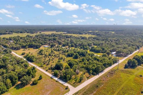 Land in Crystal River, Florida № 1056421 - photo 9