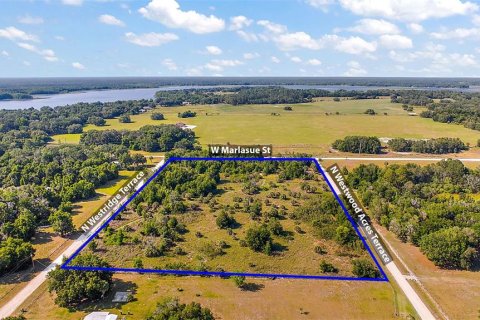Land in Crystal River, Florida № 1056421 - photo 4
