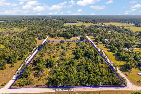 Land in Crystal River, Florida № 1056421 - photo 8