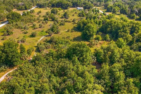 Land in Crystal River, Florida № 1056421 - photo 10