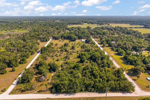 Land in Crystal River, Florida № 1056421 - photo 17