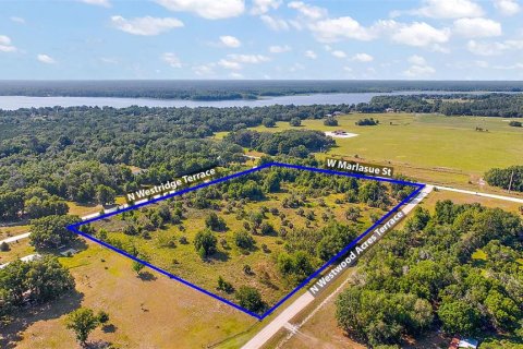 Land in Crystal River, Florida № 1056421 - photo 5