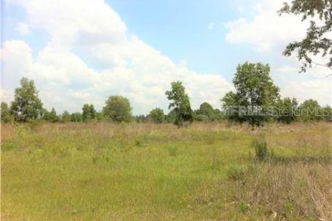 Land in Crystal River, Florida № 1056421 - photo 1