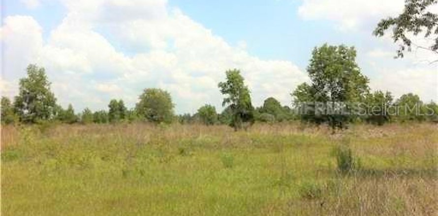 Land in Crystal River, Florida № 1056421