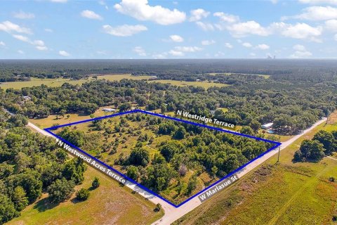 Land in Crystal River, Florida № 1056421 - photo 7