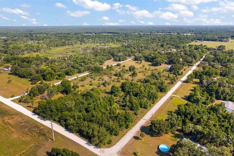 Land in Crystal River, Florida № 1056421 - photo 18