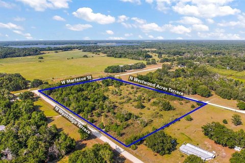 Land in Crystal River, Florida № 1056421 - photo 3