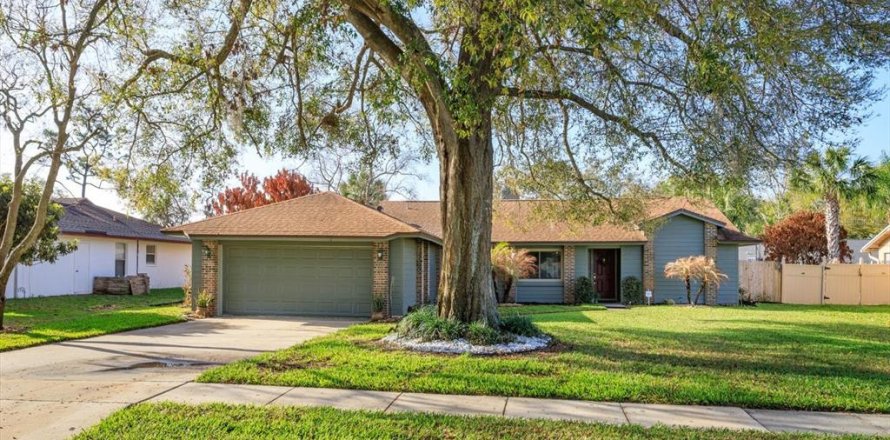 House in Windermere, Florida 3 bedrooms, 229.38 sq.m. № 2113959