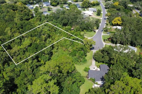 Land in Sanford, Florida № 2166684 - photo 2