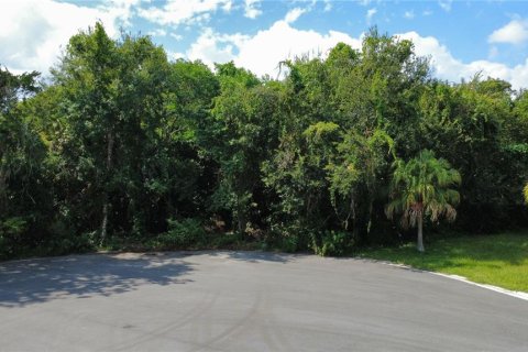 Land in Sanford, Florida № 2166684 - photo 10