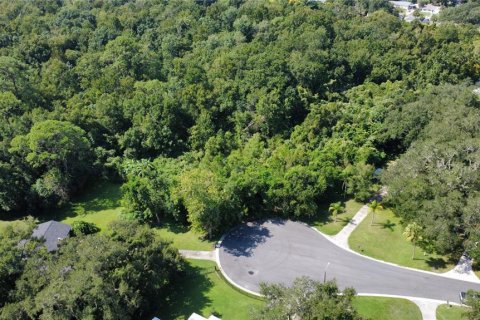 Land in Sanford, Florida № 2166684