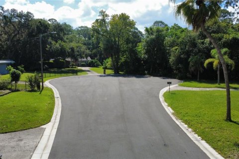 Land in Sanford, Florida № 2166684 - photo 9