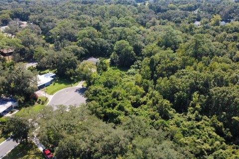 Land in Sanford, Florida № 2166684 - photo 3
