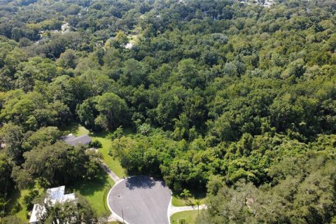 Land in Sanford, Florida № 2166684 - photo 4