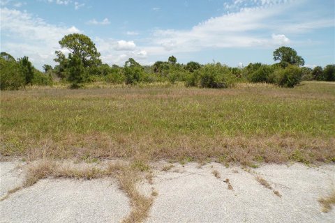 Land in Placida, Florida № 2159681
