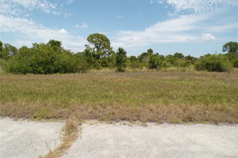 Land in Placida, Florida № 2159681 - photo 2